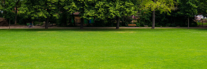 Fototapeta na wymiar Green lawn in the park.