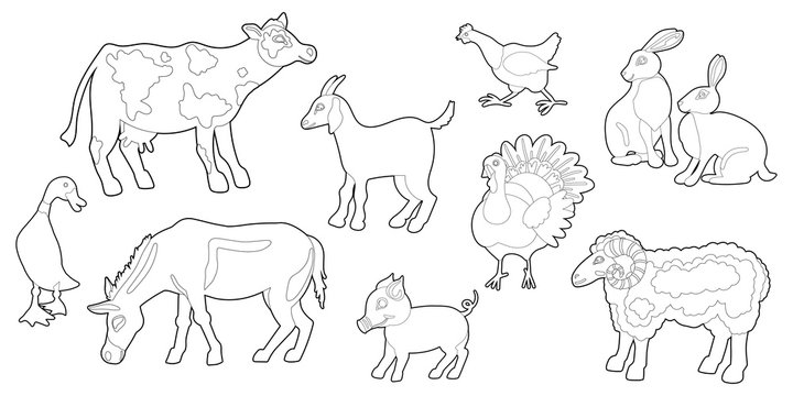 Coloring page of farm animals. Set of linear illustrations for coloring to children. Vector Images