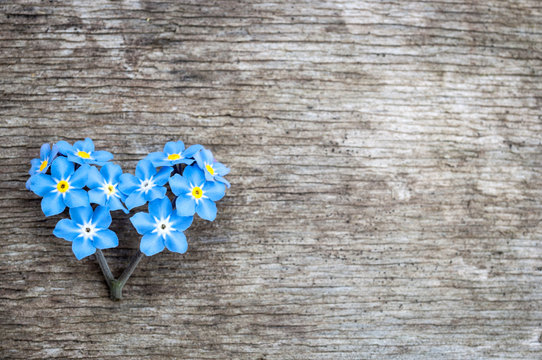 forget-me-not flowers heart. on wood background.