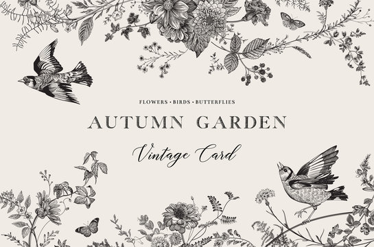 Autumn Garden. Vector horizontal card. Flowers, birds, butterflies. Black and white