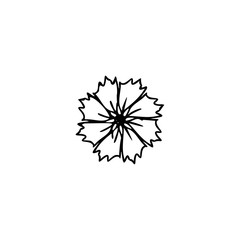 Obraz premium Flower black ink hand drawn