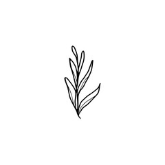Floral leaf black ink  hand drawn