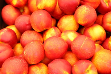 Fototapeta na wymiar Tomatoes