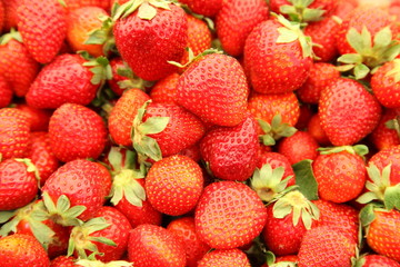 farmers market series - fresh strawberries