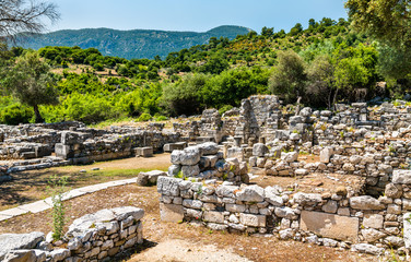 Fototapeta premium Archaeological site of Kaunos in Turkey