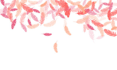 Fluffy twirled feathers on white design.