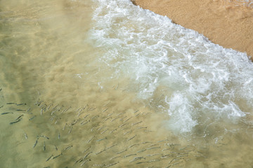 Beach water with fishes and waves calm summer sun sunny swim swimming holiday background wave