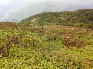 landscape in the mountains