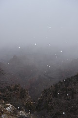 Snowfall In The Grand Canyon