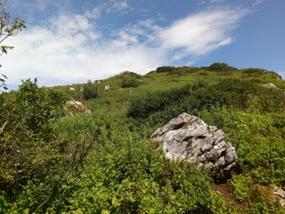 landscape in the mountains