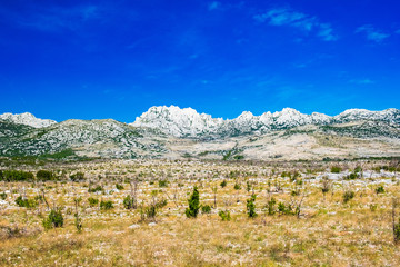 Dalmatian inland landscape and Velebit mountain in background in Croatia