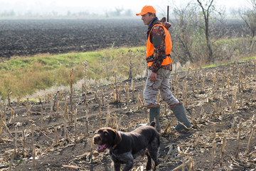 A man with a gun in his hands and an orange vest on a pheasant hunt in a wooded area in cloudy...