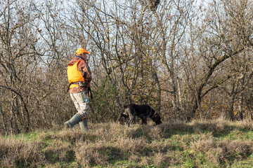 A man with a gun in his hands and an orange vest on a pheasant hunt in a wooded area in cloudy weather. Hunter with dogs in search of game.