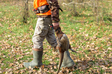 A man with a gun in his hands and an orange vest on a pheasant hunt in a wooded area in cloudy...