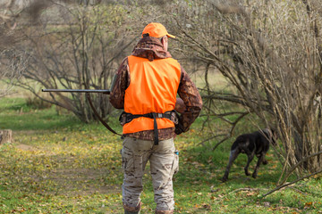 A man with a gun in his hands and an orange vest on a pheasant hunt in a wooded area in cloudy weather. Hunter with dogs in search of game.