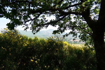 il tuscolo di monteporziocatone,roma,italia