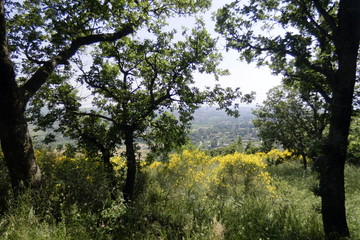 Obraz premium il tuscolo,monteporziocatone,roma,italia