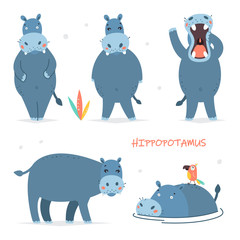Set of vector illustrations of isolated cartoon characters. Cute hippo. Baby stickers for design