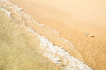 Beach water with fishes and waves calm summer sun sunny swim swimming holiday background wave