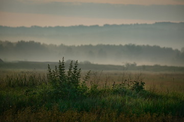 Obraz na płótnie Canvas Russia. Republic Of Khakassia. Fog in the early summer morning in the fields near the city of Abakan.