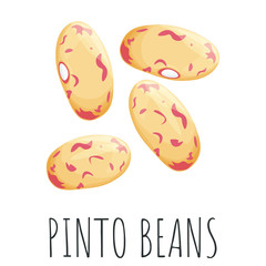 Pinto beans vector set, isolated cartoon style illustration.