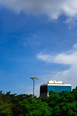 Secret basement in the forest