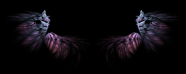 Abstract fantasy fairy wings on black background © Prime