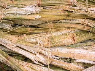 Sugarcane bagasse, nature fiber recycle for biofuel pulp and building materials.