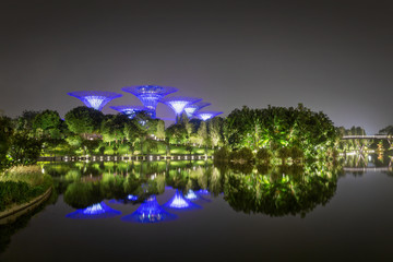 Supertree grove at night, Singapore	