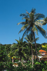 Fototapeta na wymiar The shadow of a palm tree in Thailand near a luxury hotel