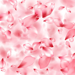 Pink sakura flower flying petals isolated on white vector background.