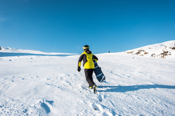 back view of sportsman holding snowboard while walking on snow