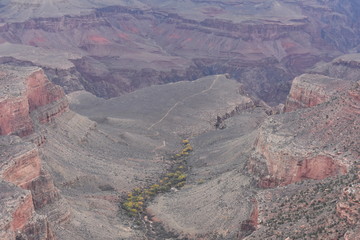 Snowy Grand Canyon