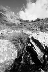New Zealand - Remarkables mountain landscape. Black and white retro image style.