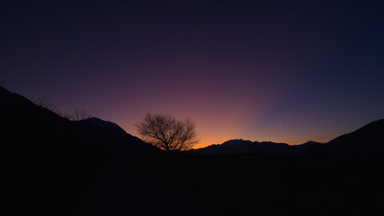 Tramonto con cielo viola ed arancione e un albero in controluce
