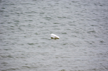 Plastic Stryfoam floating on beach water. Environmental problem of plastic rubbish pollution in ocean