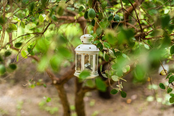 old lantern in the garden