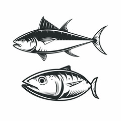 fish black and white vector illustration design