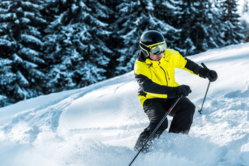 Fototapeta na wymiar skier in goggles and helmet holding ski sticks and skiing near firs