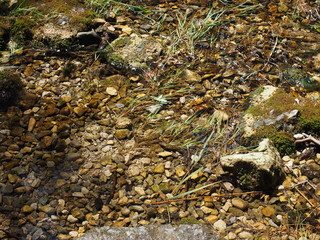 piedras de rio