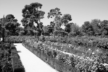 Obraz premium Retiro park in Madrid. Black and white vintage style.
