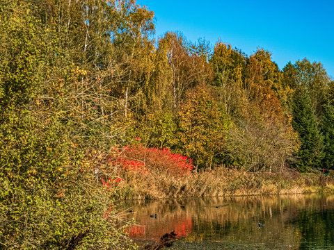 Beautiful autumn or indian summer view with reflections at the Hackerweiher near Deggendorf, Bavaria, Germany