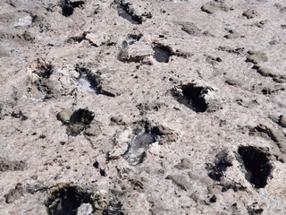 Traces of human feet in the salt lake mud