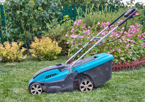 Electric push lawn corded mower on the mown lawn against a flower bed in the summer garden