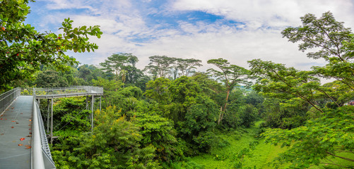 Look over Kent Ridge Park from tree top walk in Singapore during daytime