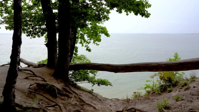 Gdynia cliff in Poland, a log where wedding couples take pictures captured with full frame camera and gimbal with scenery in the background. Dark clouds before storm.