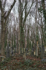 Grabsteine auf dem Jüdischen Friedhof in der Schönhauser Allee (Berlin)