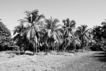 Cuba. Retro toned black and white style.