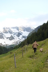 Fototapeta na wymiar Wanderer mit Hund in den bergen