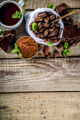 Different conditions of cocoa. Various cocoa - beans, beans, ground, crushed cocoa powder, chocolate paste, chocolate pieces and hot chocolate in a cup. On a wooden rustic background with copy space f